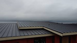 Steel Roofing in Nashville, IN